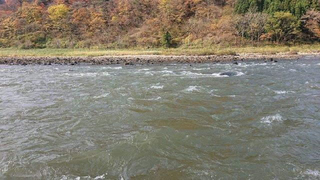 f:id:carpkeiji:20201113164321j:plain