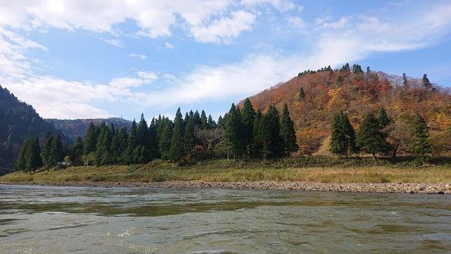 f:id:carpkeiji:20201113164325j:plain