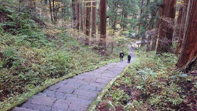 f:id:carpkeiji:20201113170519j:plain