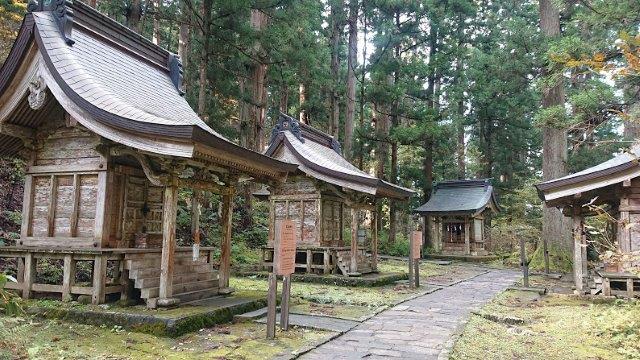 f:id:carpkeiji:20201113170523j:plain