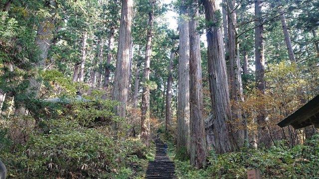 f:id:carpkeiji:20201113170543j:plain