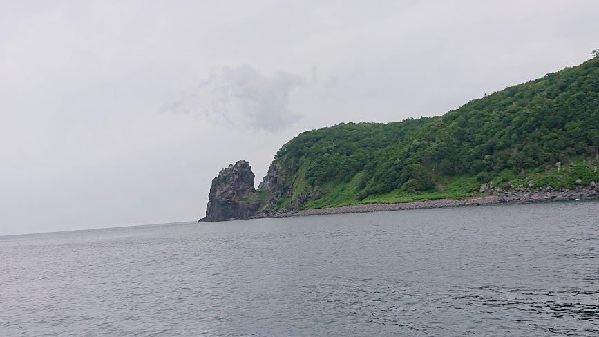 f:id:carpkeiji:20210129101436j:plain