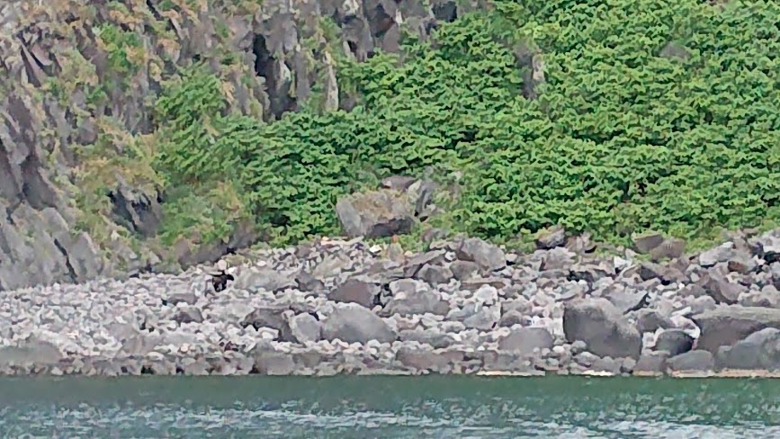 f:id:carpkeiji:20210129101455j:plain