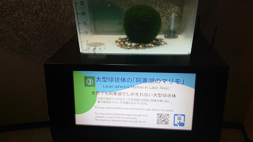 f:id:carpkeiji:20210129101747j:plain