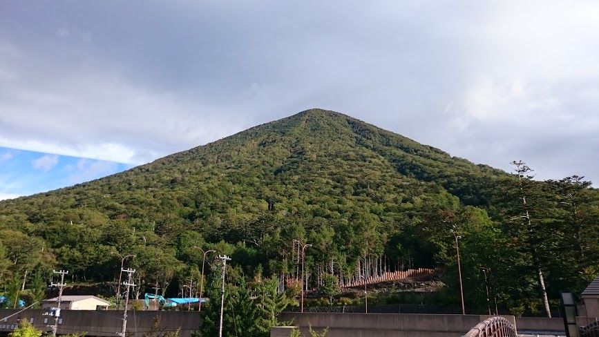 f:id:carpkeiji:20210207212952j:plain