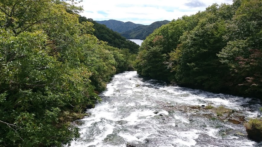 f:id:carpkeiji:20210207213046j:plain