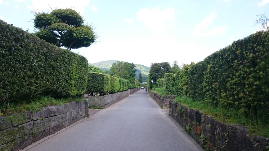 f:id:carpkeiji:20210214145848j:plain