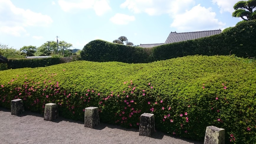 f:id:carpkeiji:20210214145903j:plain