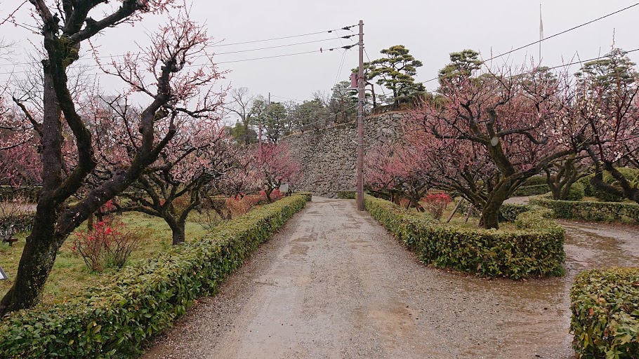 f:id:carpkeiji:20210226181206j:plain