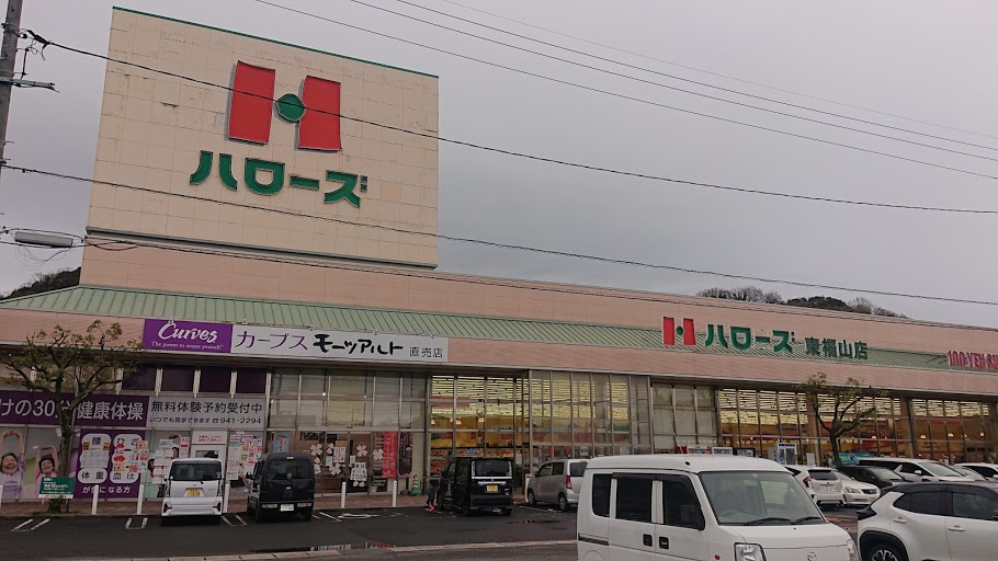 f:id:carpkeiji:20210321175323j:plain