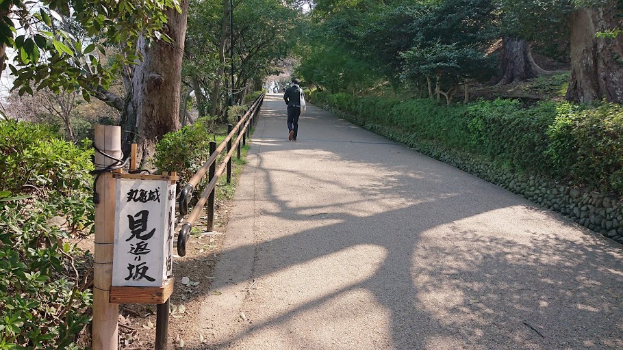f:id:carpkeiji:20210322173902j:plain