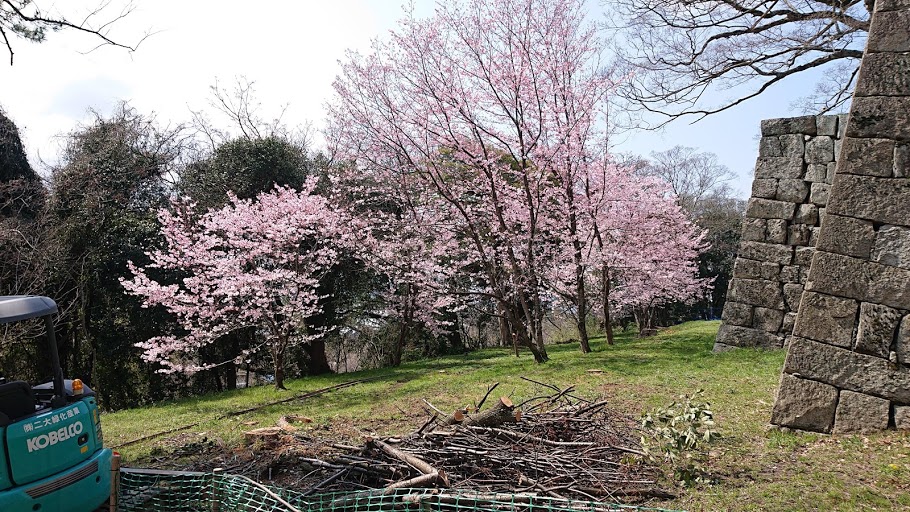 f:id:carpkeiji:20210322174001j:plain
