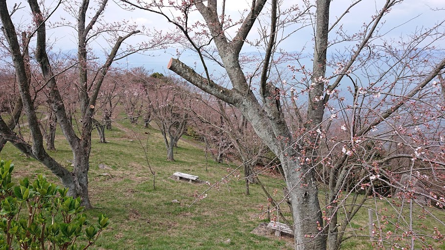 f:id:carpkeiji:20210322174145j:plain