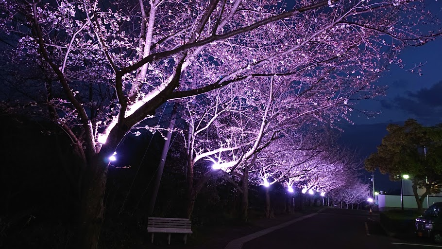 f:id:carpkeiji:20210322185114j:plain