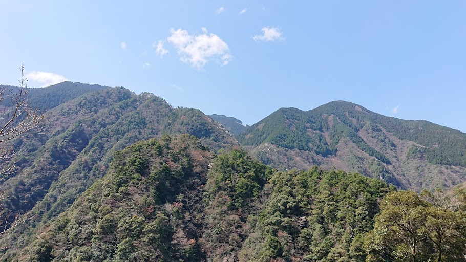 f:id:carpkeiji:20210324171359j:plain