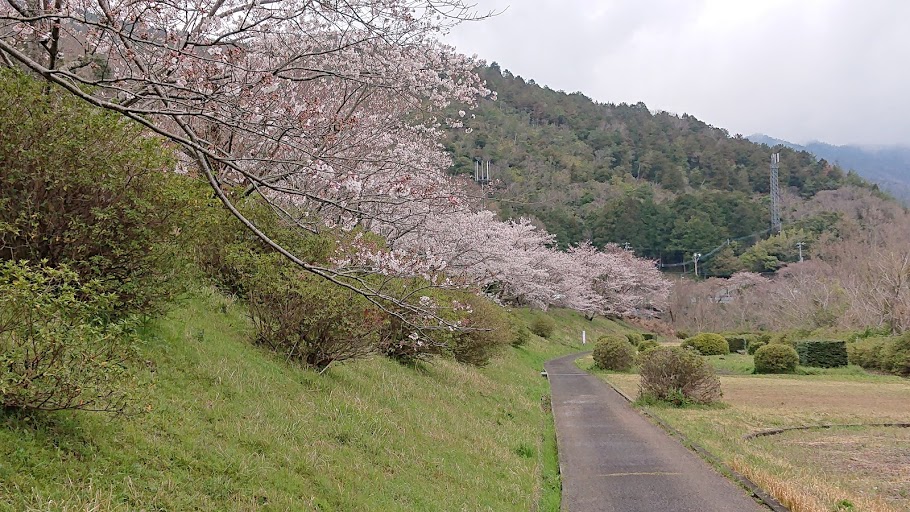 f:id:carpkeiji:20210325161552j:plain