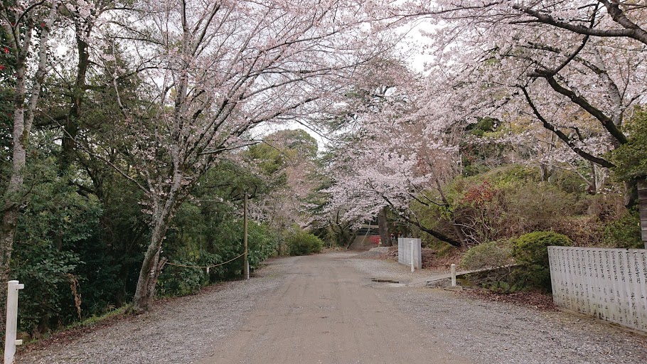 f:id:carpkeiji:20210325161619j:plain