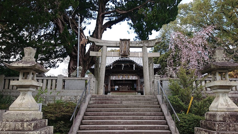 f:id:carpkeiji:20210325161630j:plain