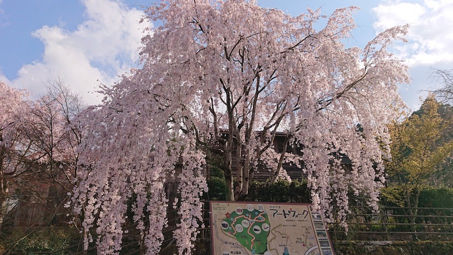 f:id:carpkeiji:20210325161639j:plain