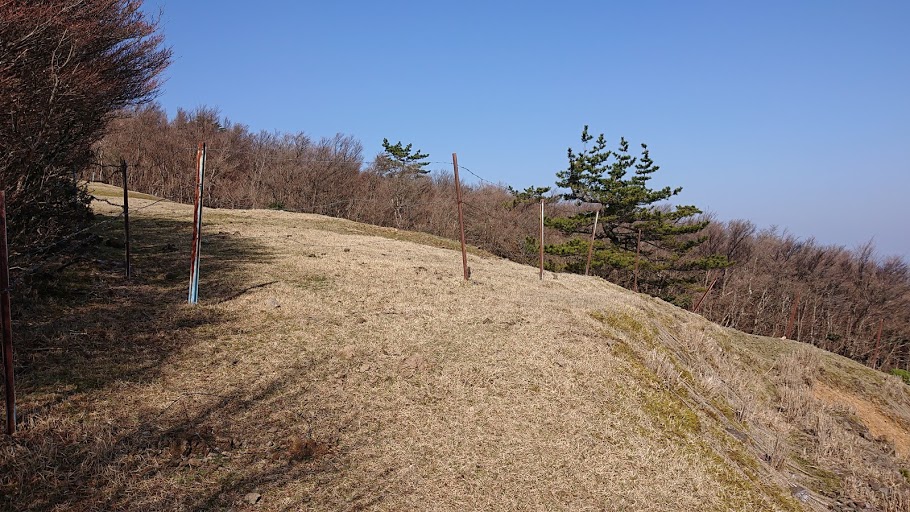 f:id:carpkeiji:20210326153557j:plain