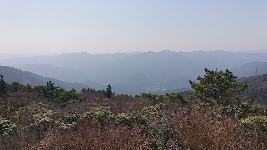 f:id:carpkeiji:20210326153610j:plain
