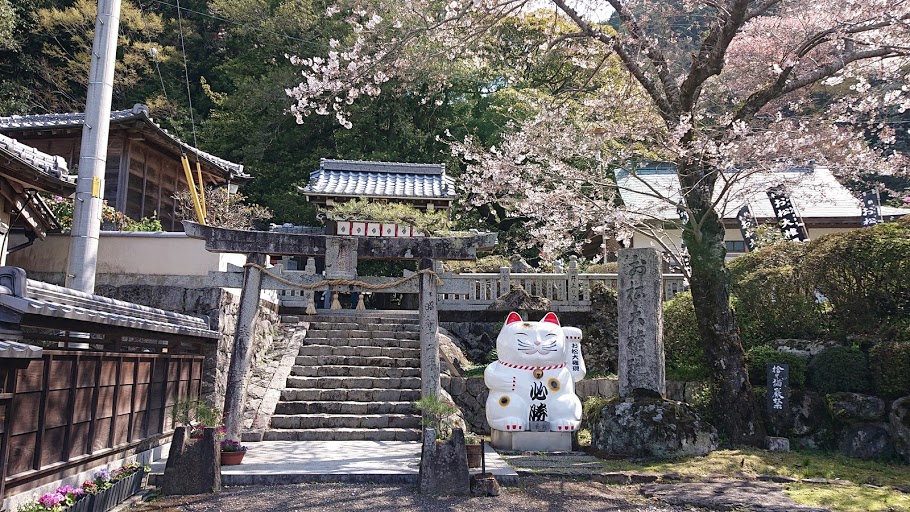 f:id:carpkeiji:20210326153628j:plain