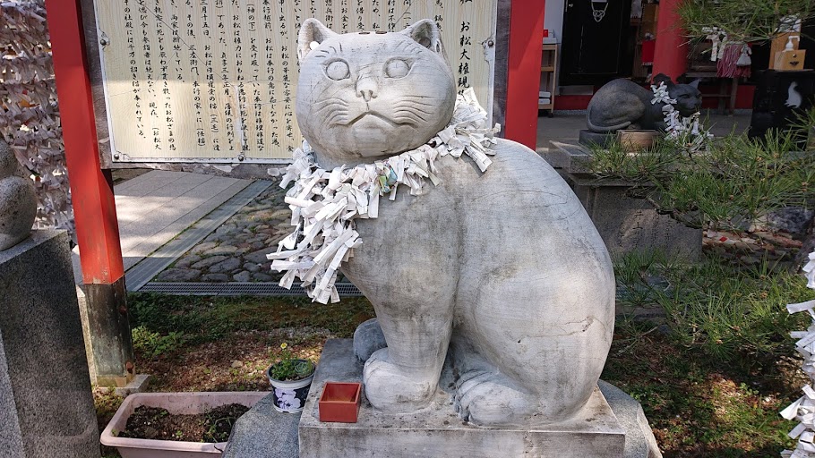 f:id:carpkeiji:20210326153634j:plain