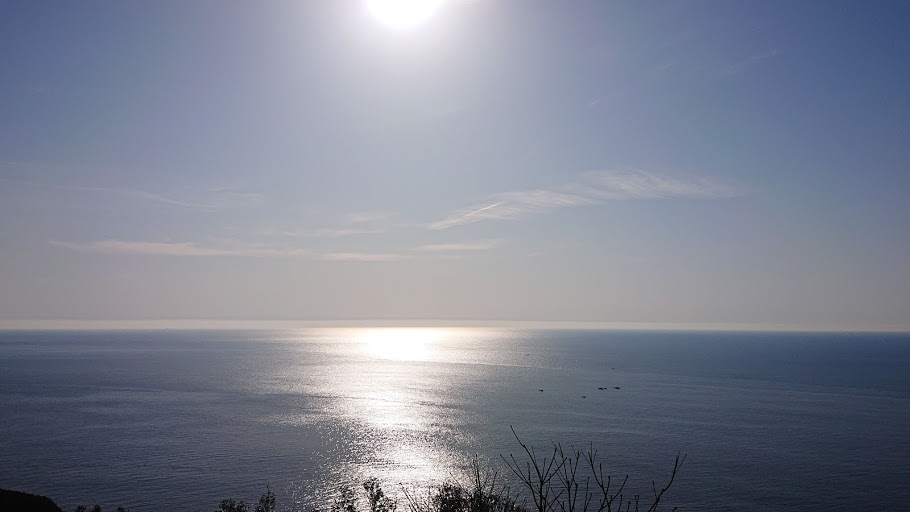 f:id:carpkeiji:20210327142141j:plain