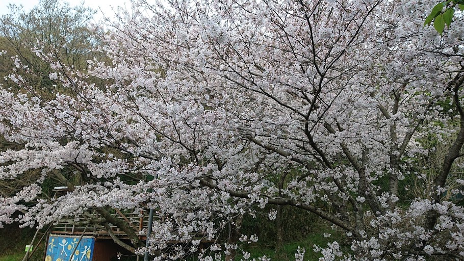 f:id:carpkeiji:20210330165928j:plain