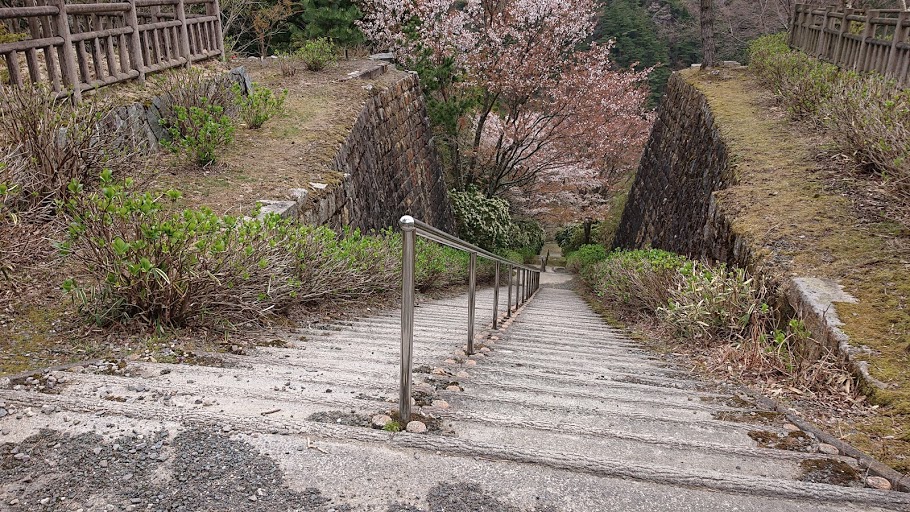 f:id:carpkeiji:20210402180324j:plain