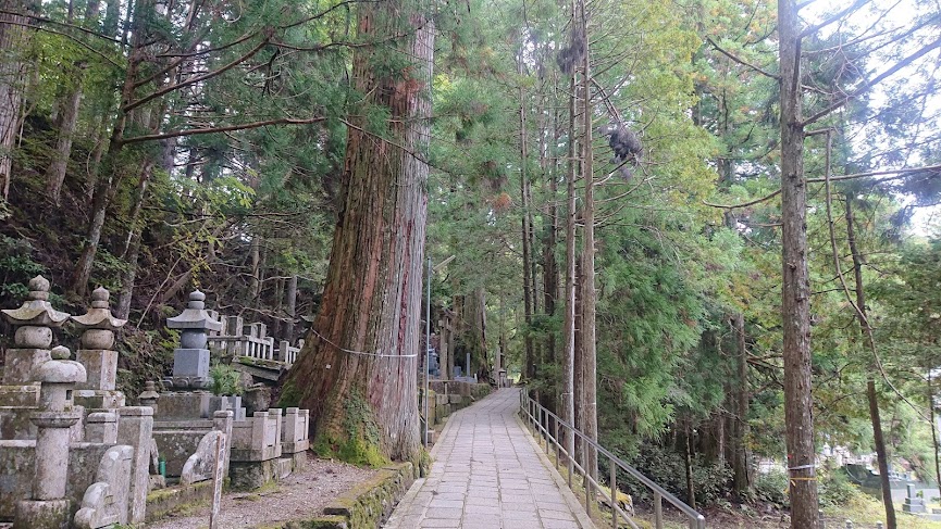 f:id:carpkeiji:20211018163233j:plain