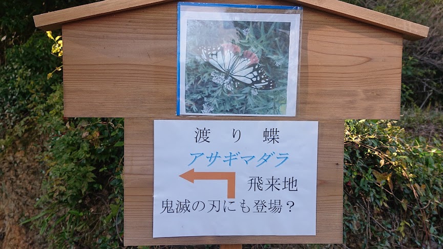 f:id:carpkeiji:20211101165157j:plain