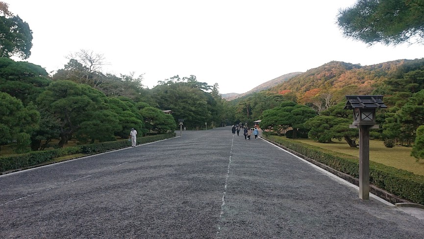 f:id:carpkeiji:20211103151811j:plain