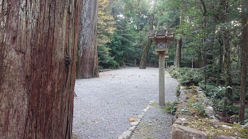 f:id:carpkeiji:20211103151830j:plain