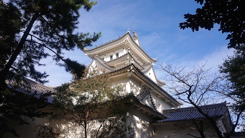 f:id:carpkeiji:20211108165753j:plain