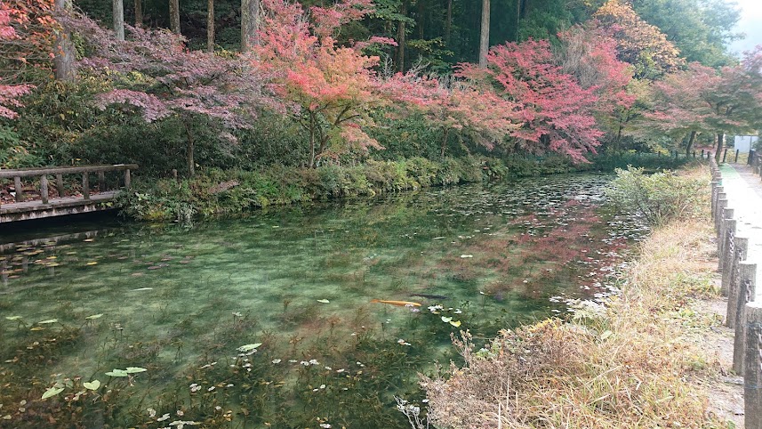 f:id:carpkeiji:20211110164215j:plain