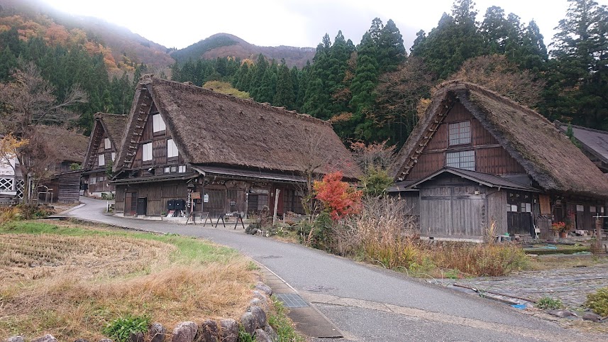 f:id:carpkeiji:20211111151332j:plain
