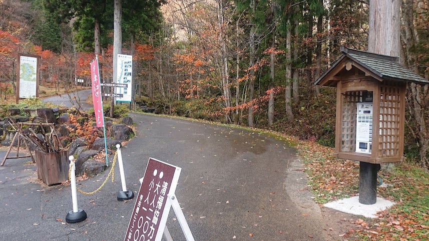 f:id:carpkeiji:20211112155124j:plain