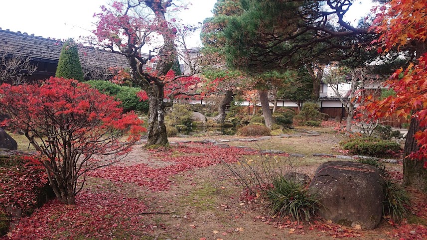 f:id:carpkeiji:20211113145012j:plain