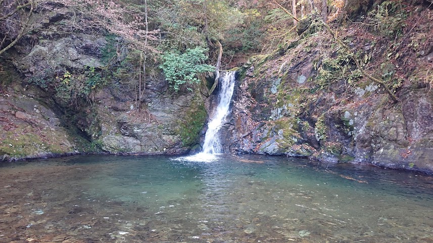 f:id:carpkeiji:20211114150812j:plain