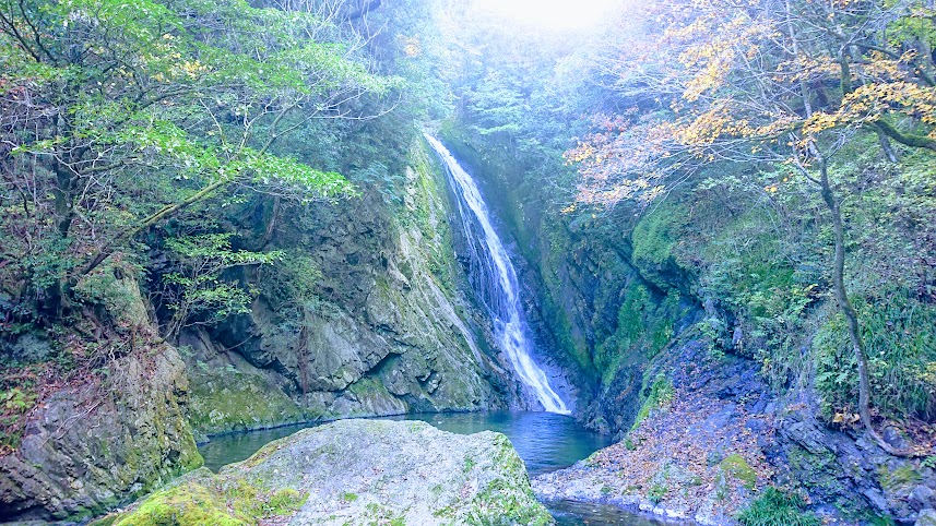 f:id:carpkeiji:20211114150816j:plain