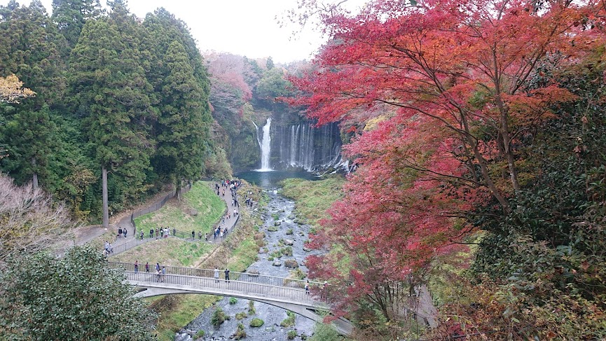 f:id:carpkeiji:20211121163930j:plain