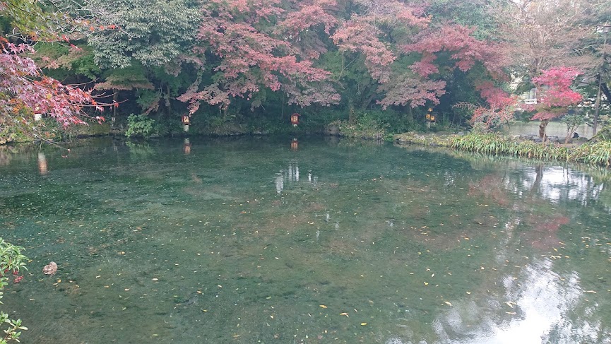 f:id:carpkeiji:20211122160020j:plain