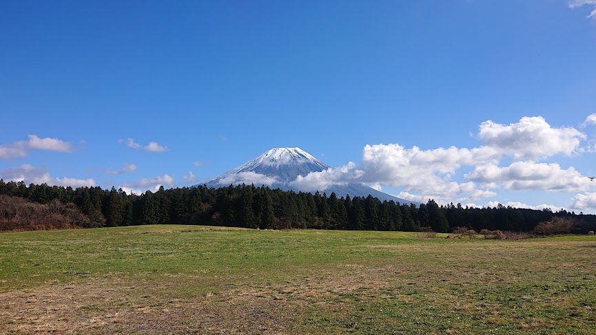 f:id:carpkeiji:20211123161058j:plain