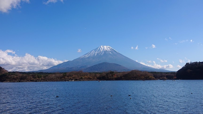 f:id:carpkeiji:20211123161104j:plain