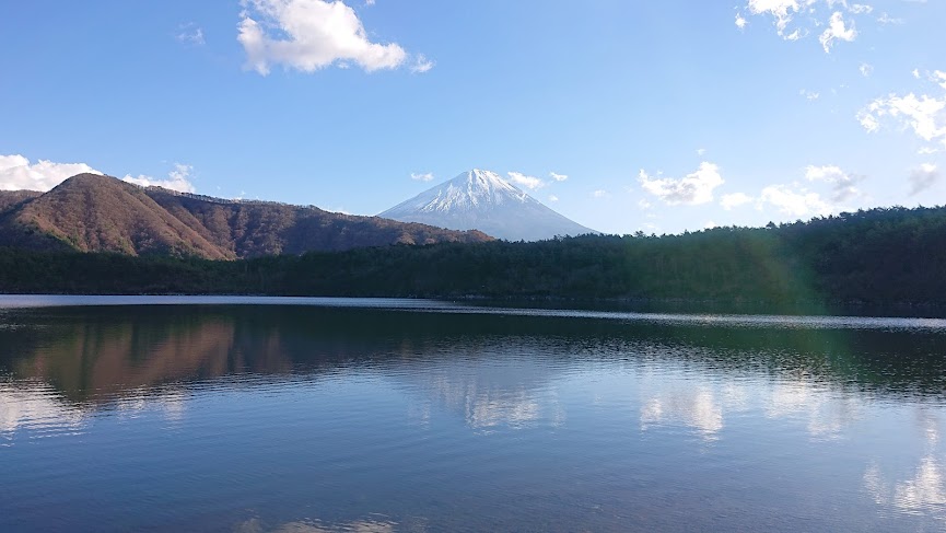 f:id:carpkeiji:20211123161107j:plain