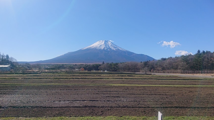 f:id:carpkeiji:20211124152343j:plain