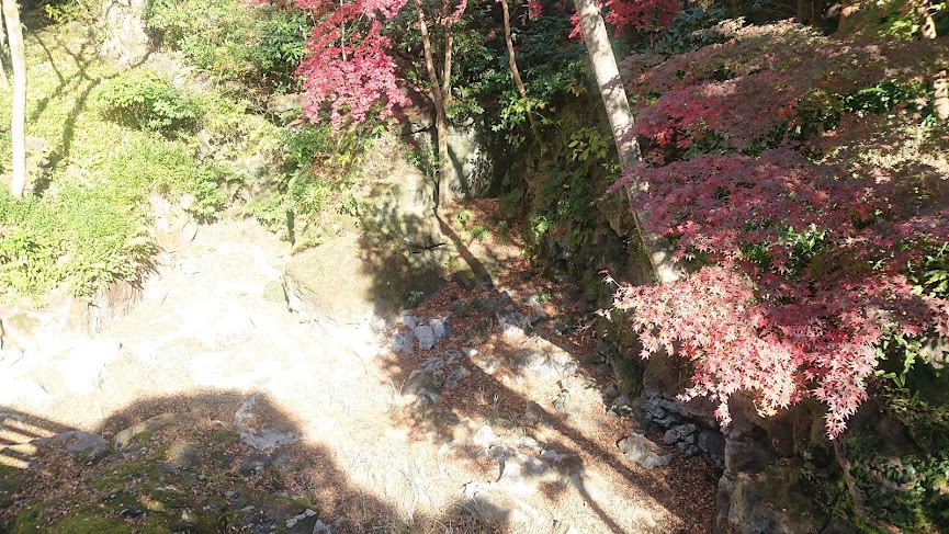 f:id:carpkeiji:20211128161527j:plain