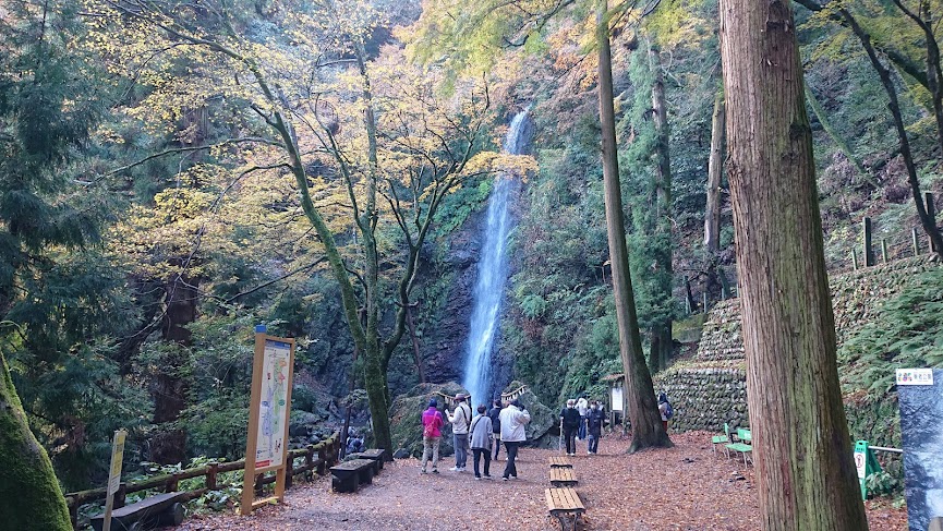f:id:carpkeiji:20211202155330j:plain