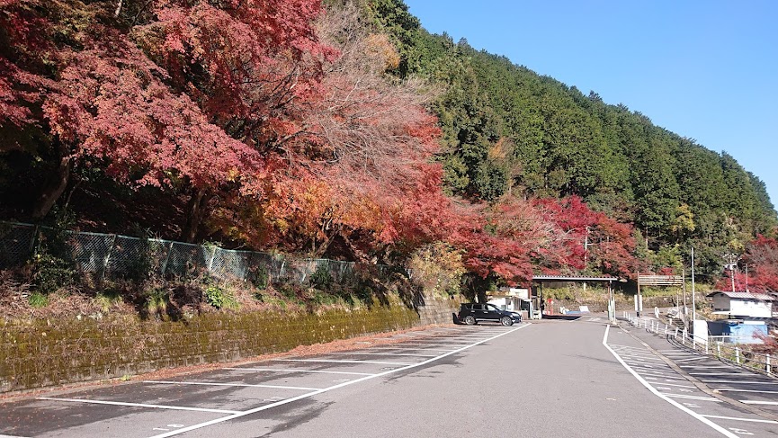 f:id:carpkeiji:20211202155332j:plain